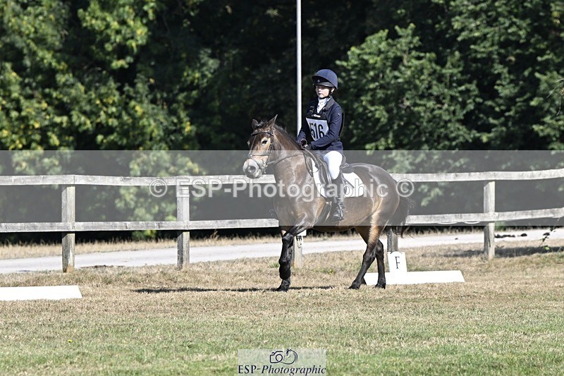 250822A-101445-20184 - DR 10.00 to 11.00