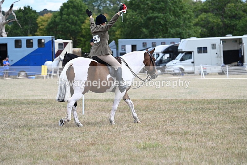 WJ7_5694 - Class 12 Ridden Cob