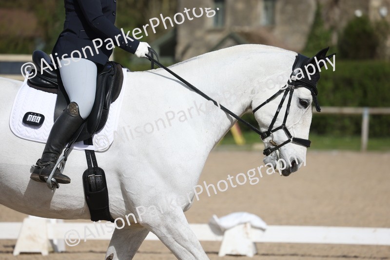 20260405-0154 - Class 3 - Novice 5