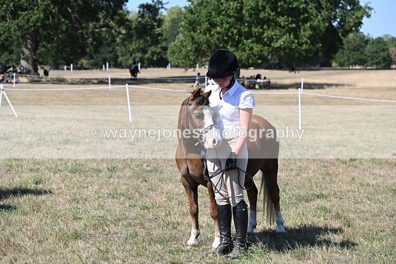 WJ6_9307 - Class 40 Cheekiest Pony/Horse