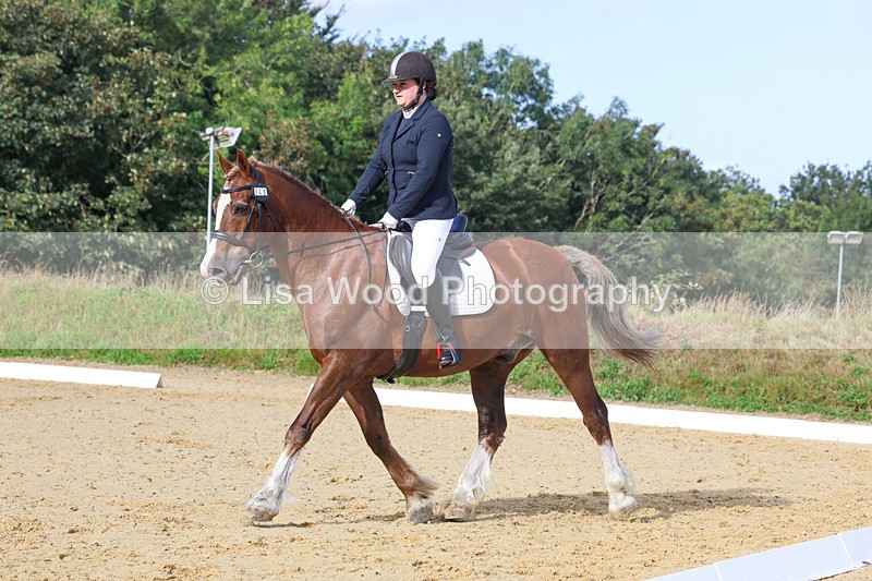 3E7A2237 - Class 1: Intro 4 2024 section A