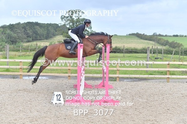 BPP_3077 - CLASS 2 Senior British Novice/ 90cm Open