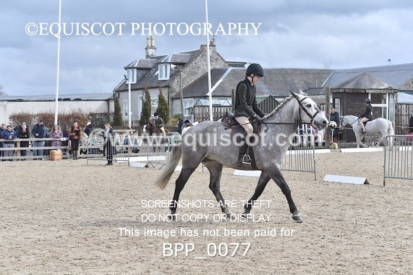 BPP_0077 - RING 2 - M&M