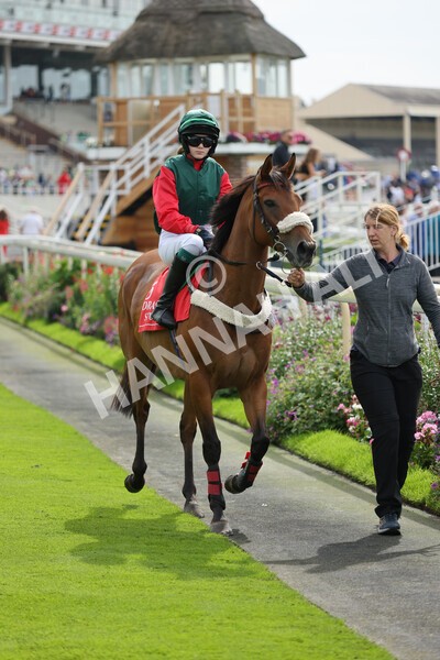 yr04092022p1-32 - 12.30pm 148cm Conditions Pony Race