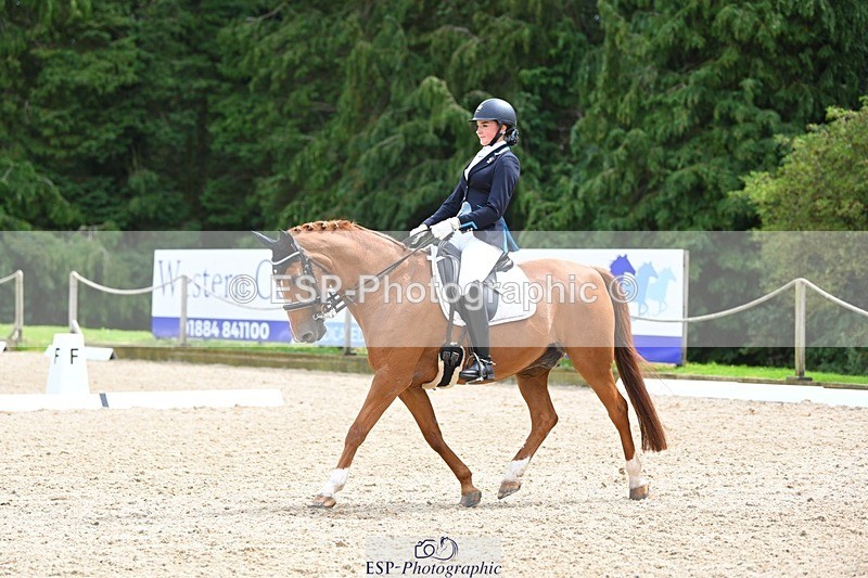 230813-133600-07601 - Cls 13 Medium Bronze 13.15 to End