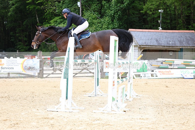 3E7A9603 - Class 9: Senior Foxhunter/1.20 open