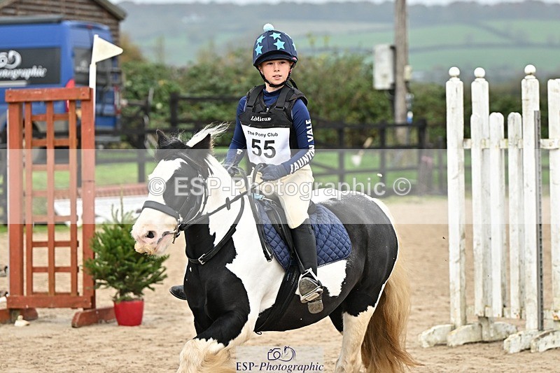 241110-120405-00587 - 50-55cm Arena Eventing