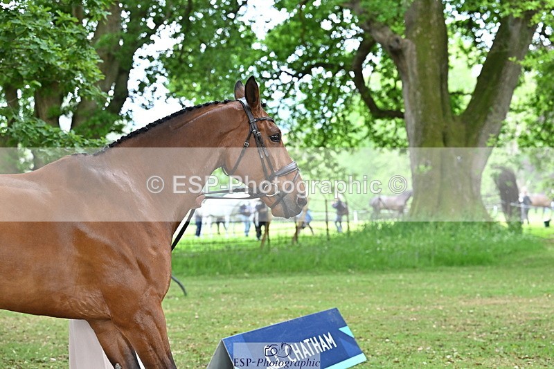 250521A-142825-00019 - A-001-Jemima.Howden-HEADS.UP