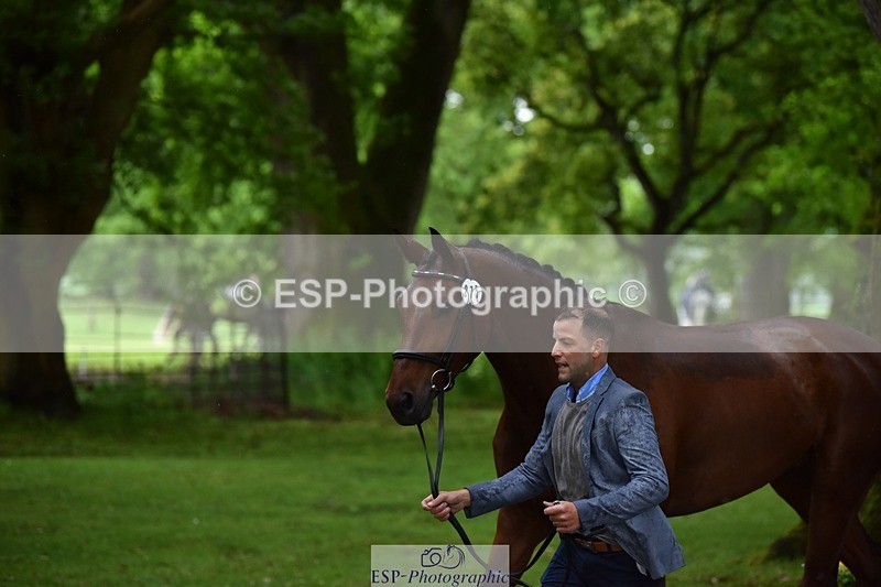 240522-162232-00870 - 275-SFS_ARRANO-Roberto_Scalisi