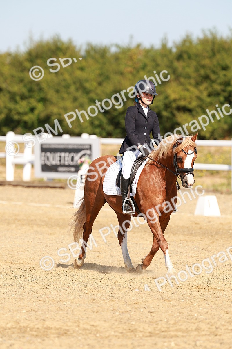 SBM_017559 - Class 9 - N5 Bronze 10.33.11.36