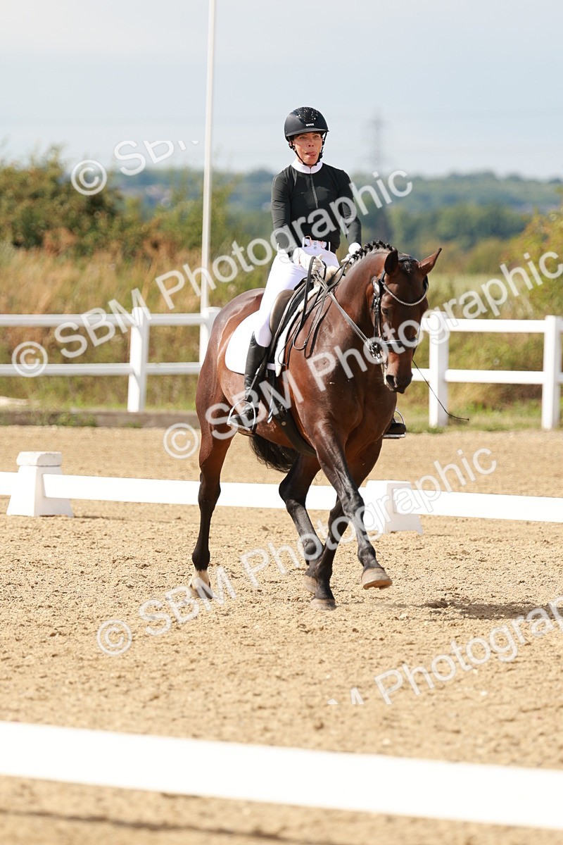 SBM_002475 - Class 11 - Medium 6