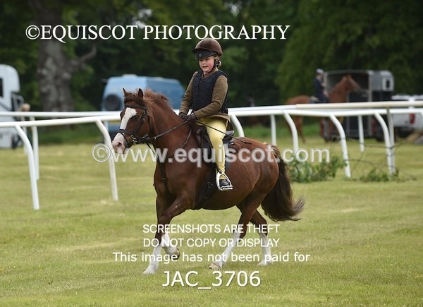 JAC_3706 - 75CM WORKING HUNTER