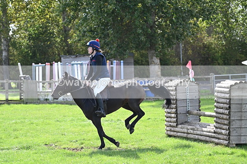 WJ7_8608 - 60cm Pairs