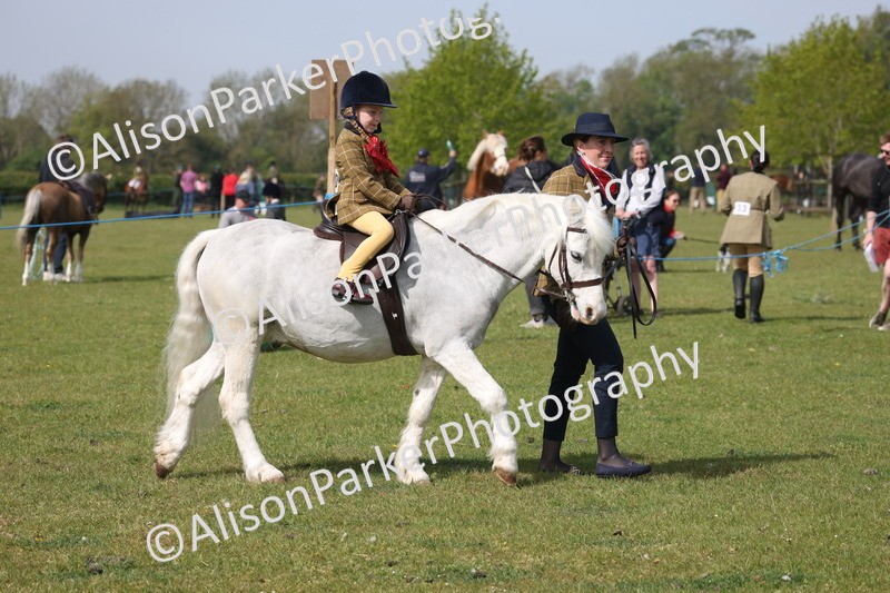 20260426-0576 - Class 31 - Leading Rein