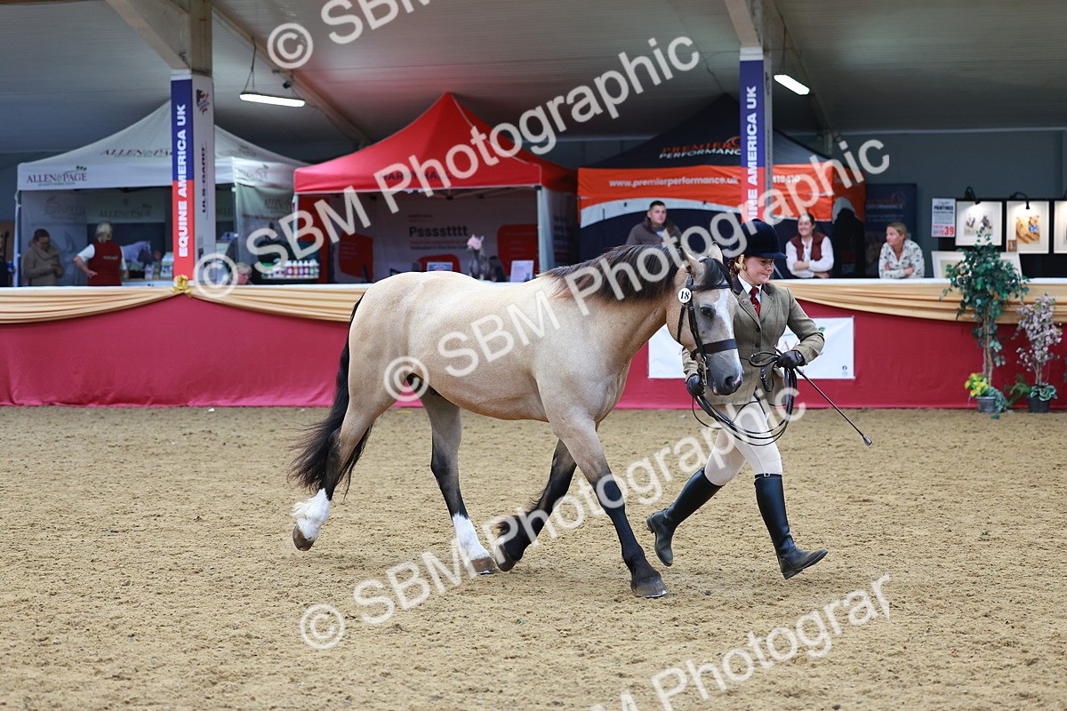 SBM_04223 - Class 9R - IH Pre-Vet