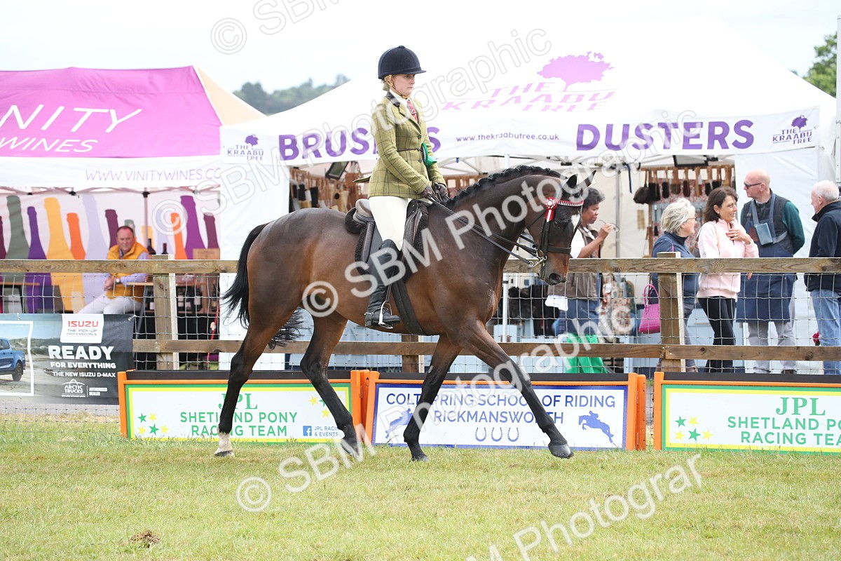 SBM_11487 - Class 94 - LIHS BSHA Racehorse to Showhorse