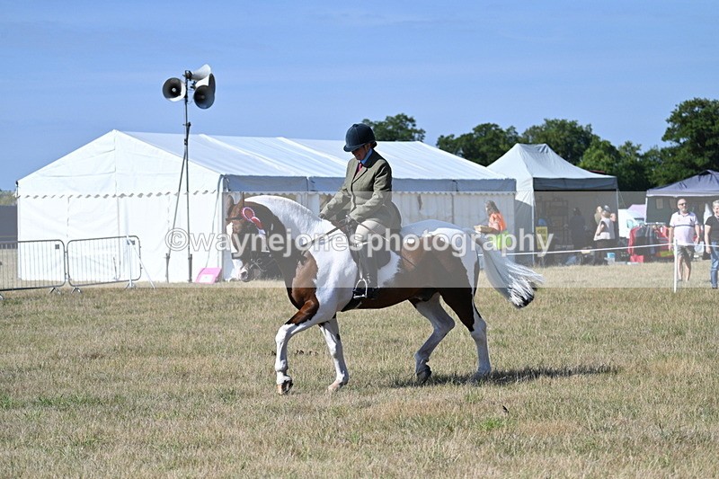 WJ7_3285 - Class 8 Ridden Tack & Turnout