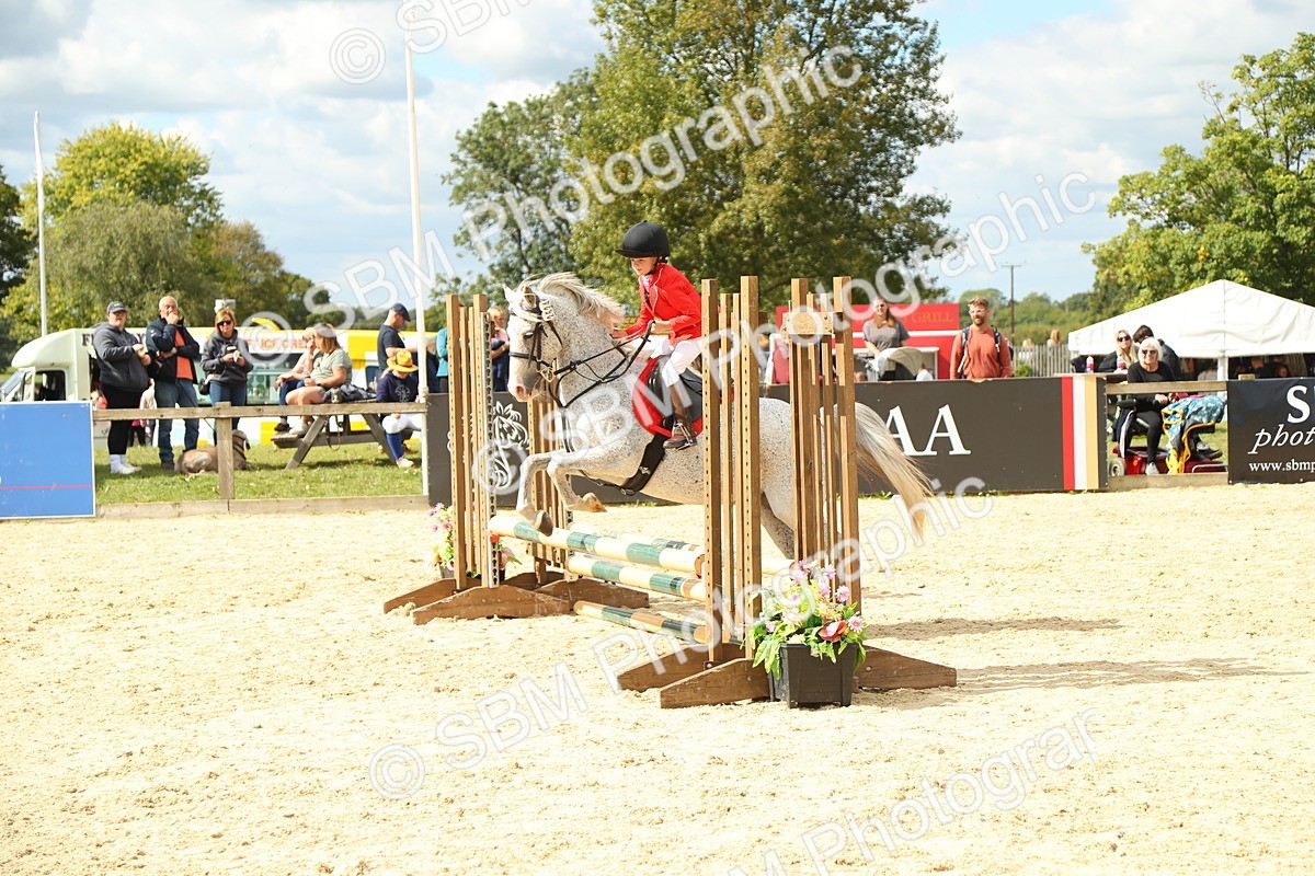 SBM_41355 - J6 - Junior Pony 55cm Championships