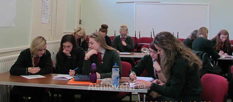  - Peer Mentoring 2014