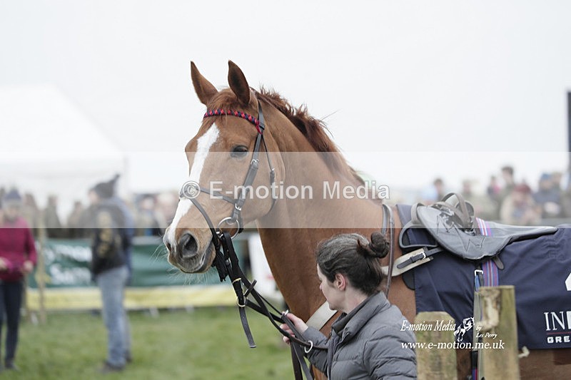 PtP 050323 768 - Blackmore & Sparkford Vale Hunt PtP - Somerset 05/03/23