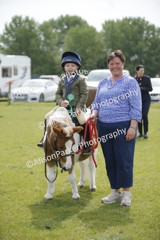 20260426-2176 - Class 9 - Handsomest Gelding