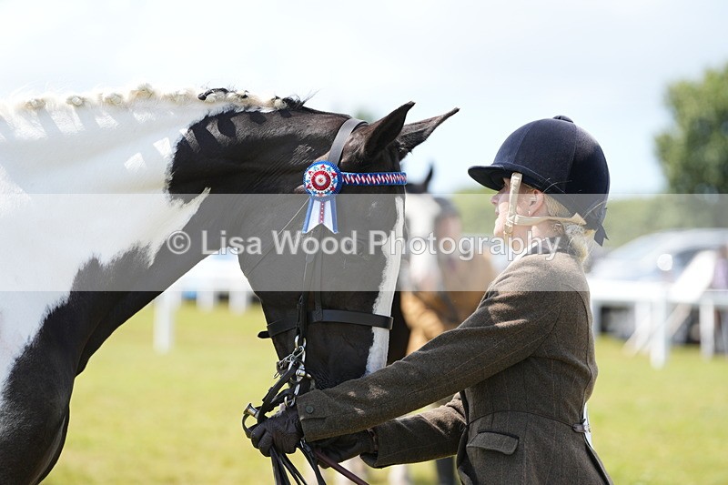 DSC07102 - Class 61: Coloured Horse 4yrs & Over