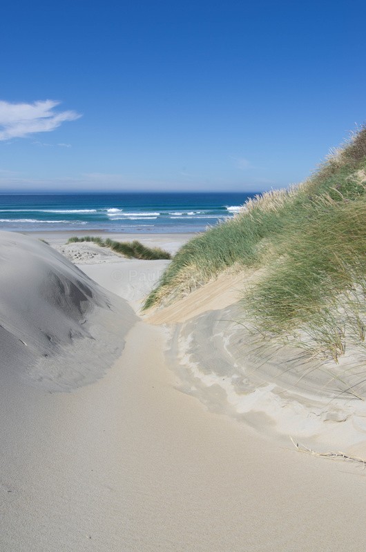 Sandfly Bay, Otago Peninsular - New Zealand South Island