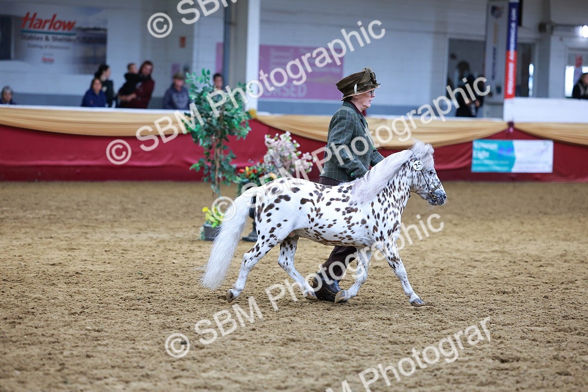 SBM_16065 - Class 901 - Sup Final - IH Diamond