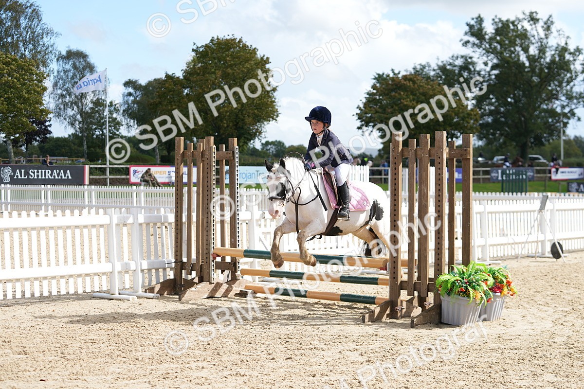 SBM_46782 - J7 - Junior Pony 60cm Championship