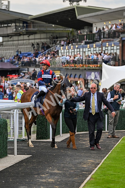 050724-Race 5-Walter Hartright-2568 - Race 5