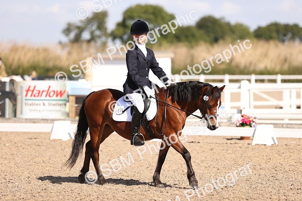 SBM_03508 - CLass 35 Intro 3