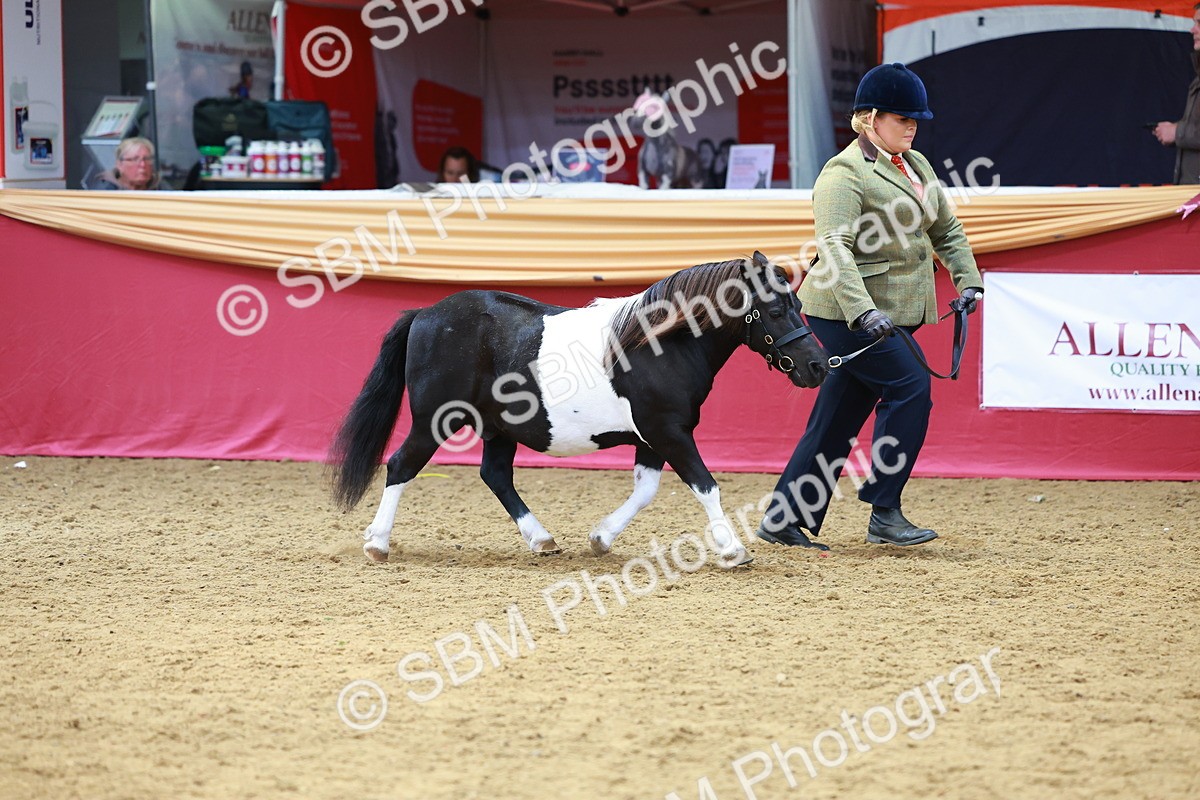 SBM_04195 - Class 9R - IH Pre-Vet