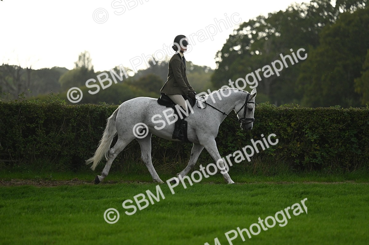 SBM_26594 - S7 - Novice & Newcomer Ridden Pony