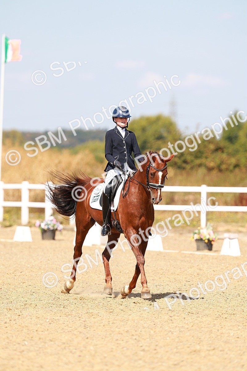 SBM_018304 - Class 9 - N5 Bronze 11.57.13.07