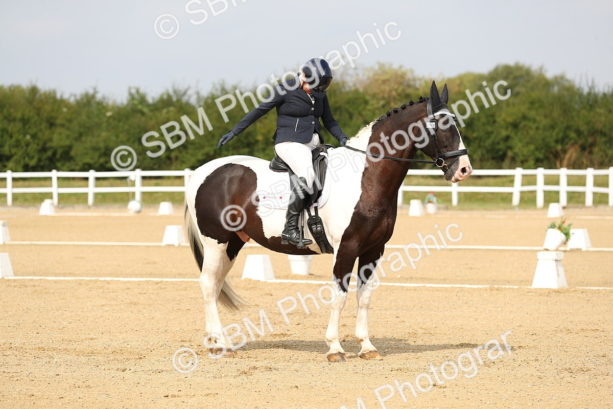 SBM_017276 - Class 13 - Novice 23 - 13.31-14.13