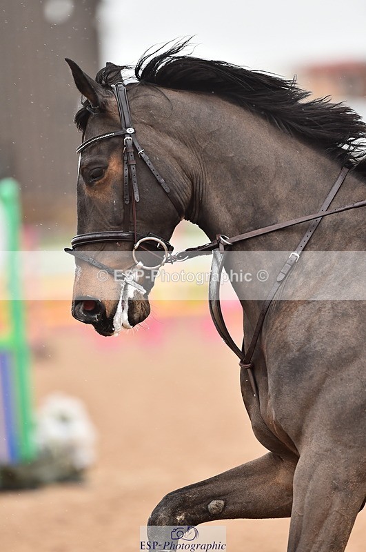 230331A-121400-00750 - Cls 9 95cm Amateur Quali