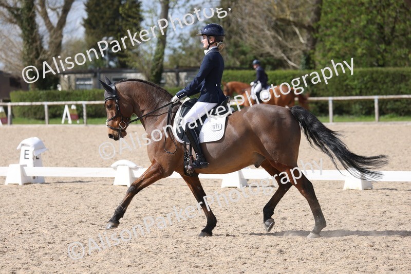 20260405-0914 - Pony FEI