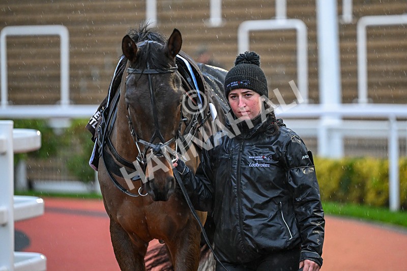 141125-Race 5-Moneygarrow-0650 - Race 5