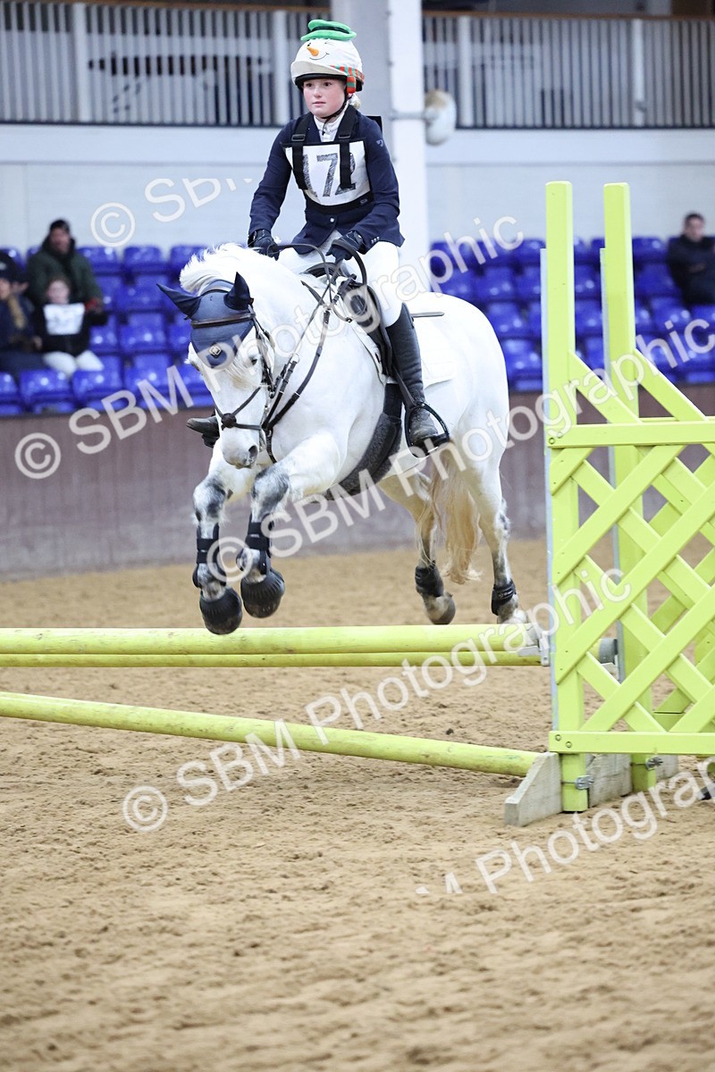 SBM_001061 - Class 3 - Christmas Tree Stakes - 60cm