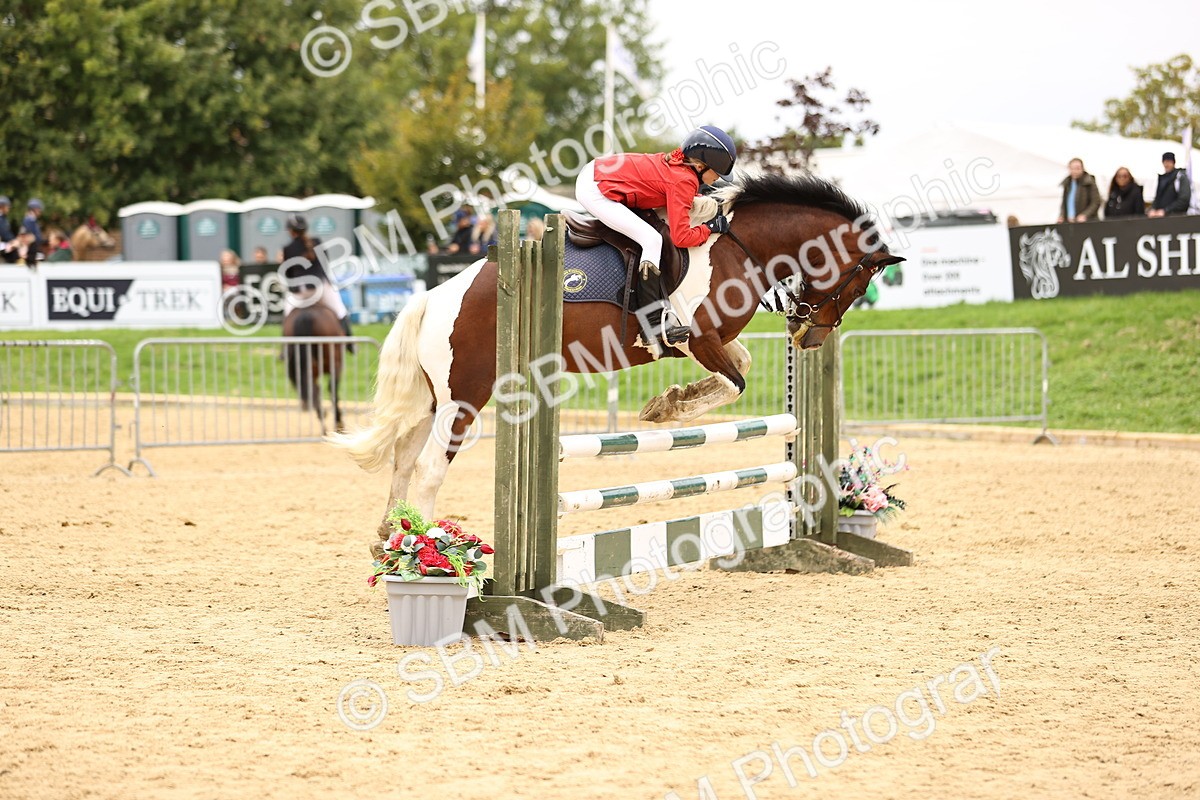 SBM_66508 - J17 - Junior Pony 80cm Championship