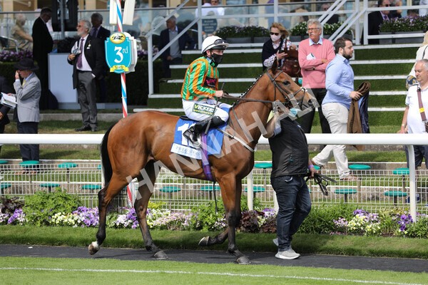 yr12062021r4-2 - Race 4 3.40pm The Pavers Foundation Catherine Memorial Sprint Stakes