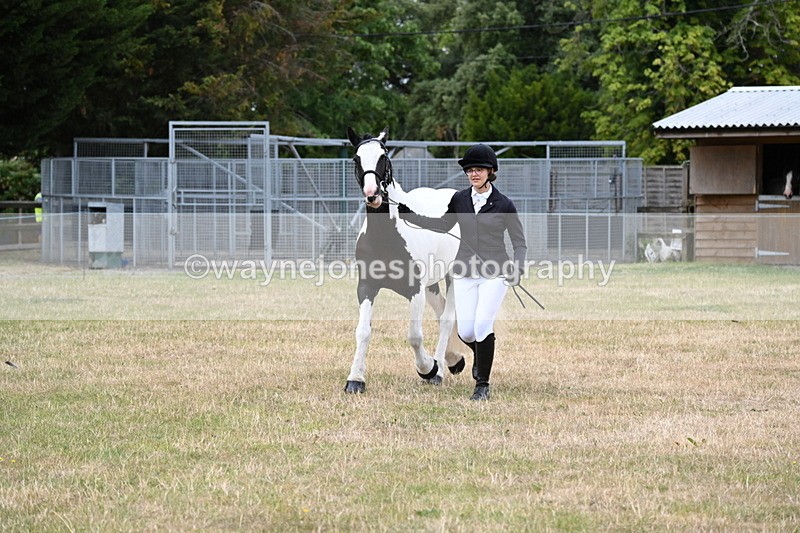 WJ6_4251 - Class 10 Coloured In-hand