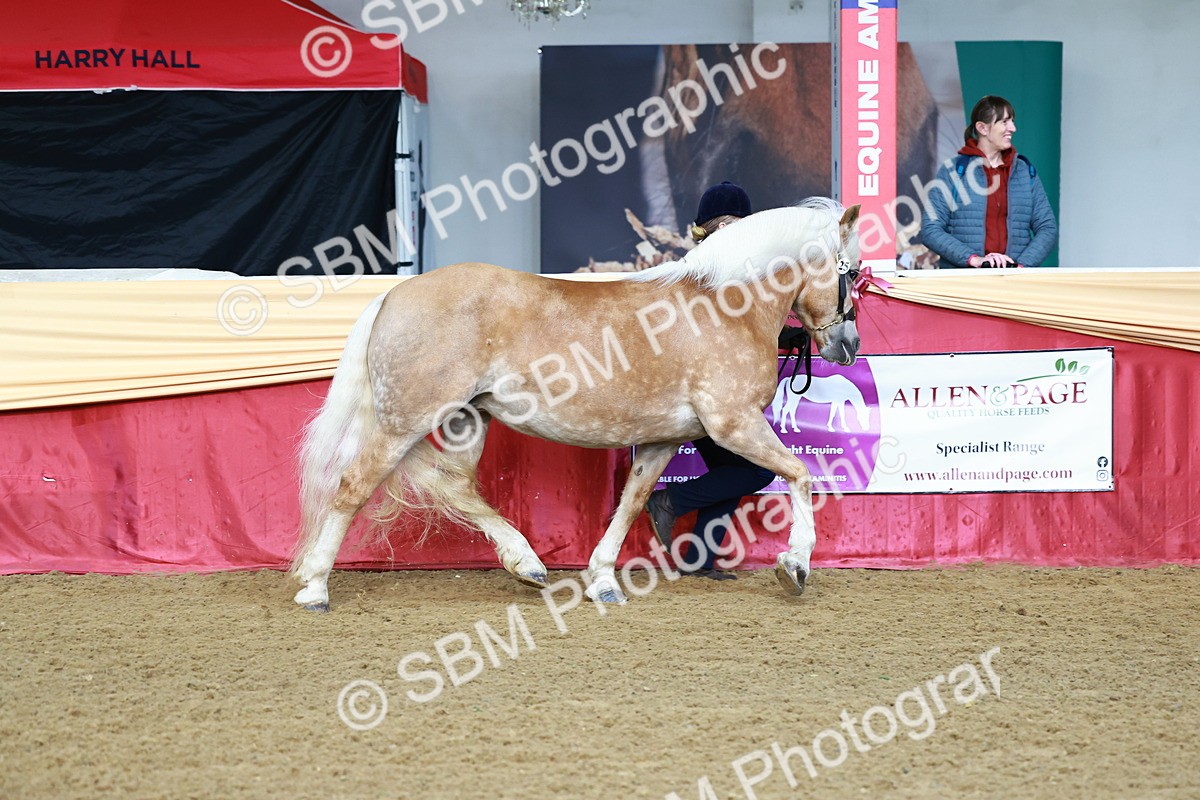 SBM_21957 - Class 901 - Supreme Final - IH  Diamond