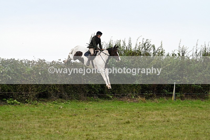 WJ7_4181 - Camera 1 Line 2