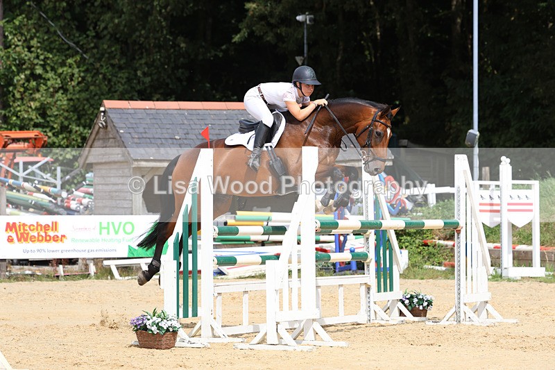 3E7A4314 - Class 8: Senior Foxhunter/1.20 open