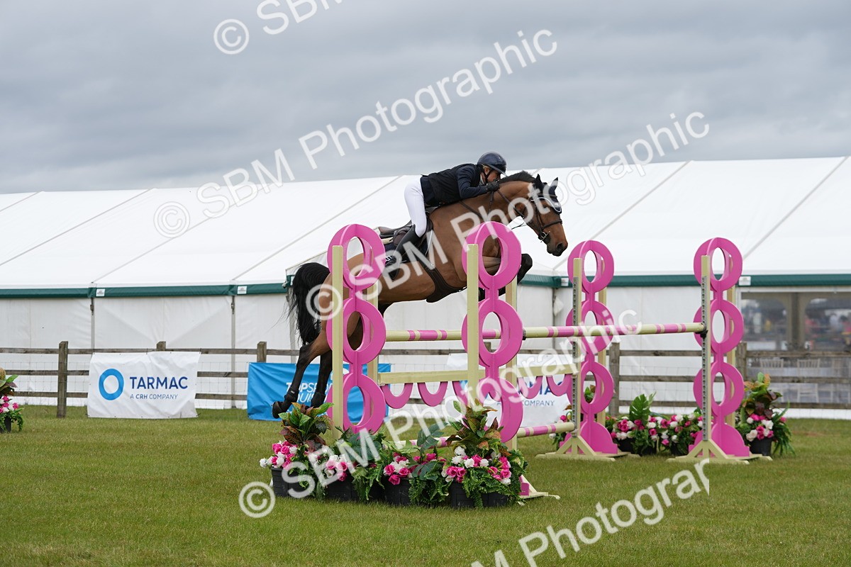 SBM_03387 - Class 201 - British Horse Feeds Speedi Beet Horse of the Year Show Grade  C