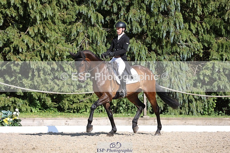 230526-165934-07878 - 174-LANCELOT_BMG-Alfie_Marshall-WEDTrotUp+DR