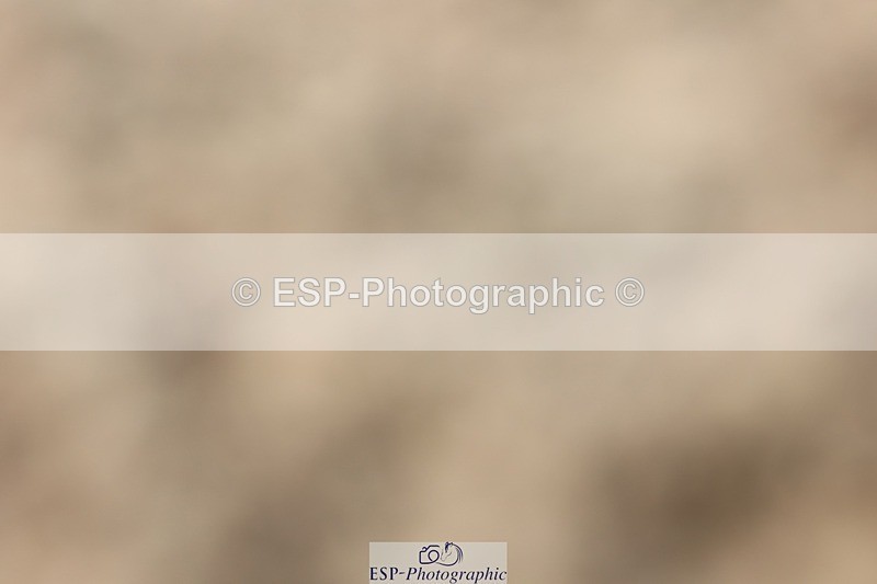 250621-164631-10061 - Cls 41 - Freestyle Inter I