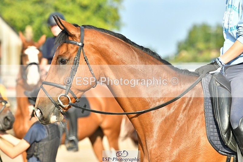 230817-083943-02440 - Stable Shots