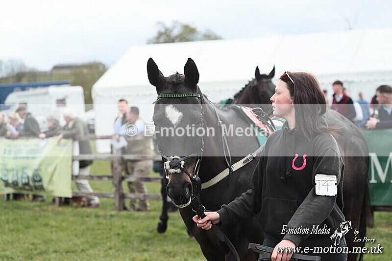 PtP 130425 18 - Edgecote Races 13/04/25
